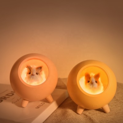 Decorative Portable Rechargeable Led Lighting Mini Home Decor Lamp